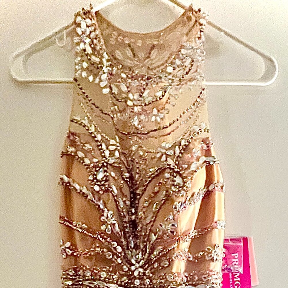 Prom Dress - Picture 4 of 6